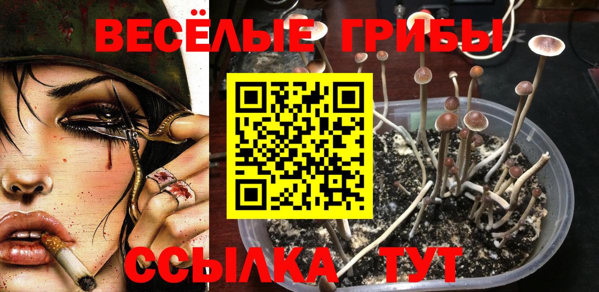 Ростов-на-Дону  Псилоцибиновые грибы Magic Shrooms  Вход с VPN  Псилоцибиновые грибы ЛСД 