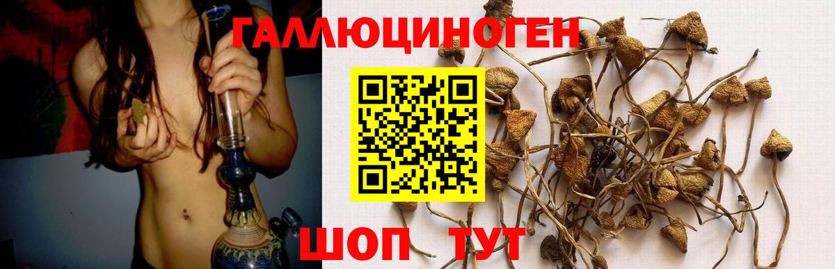 Галлюциногенные грибы прущие грибы Ростов-на-Дону